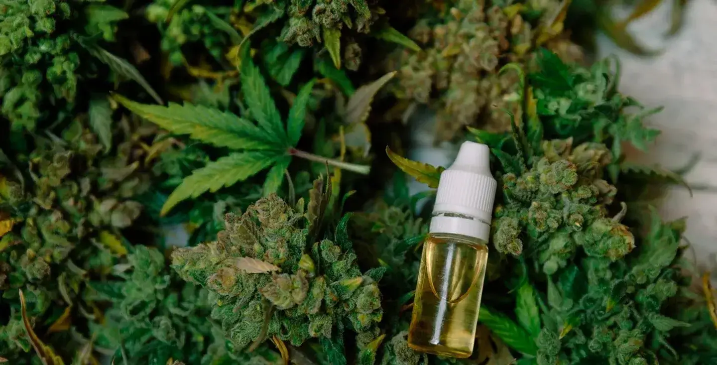 Miami Green Express cannabis delivery service in Palm Beach